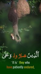 Heart_Touching_Tilawat-e-Quran___Quran_tilawat,_Allah_photo,_Quran(480P)