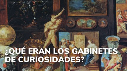 ¿Qué eran los gabinetes de curiosidades?