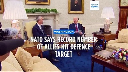 Record number of NATO allies meeting their defence spending target amid war in Ukraine