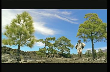 Chased by Dinosaurs | show | 2002 | Official Trailer