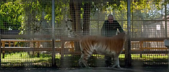 The Cage - Nella Gabbia | movie | 2024 | Official Trailer