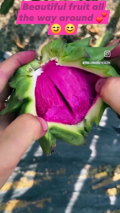 Dragon fruit benefits