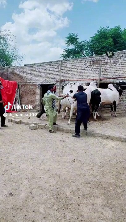 Eid a gaye