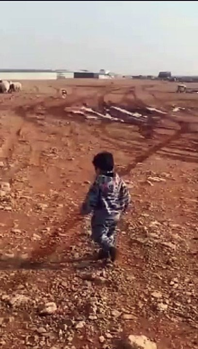 Most funny video on daily motion 2024 ###
