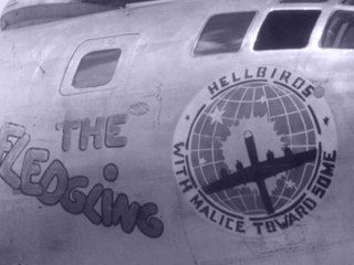 USAAF 462nd Bombardment Group  Piardoba Airfield, India - Tinian, Mariana Islands 1944/45