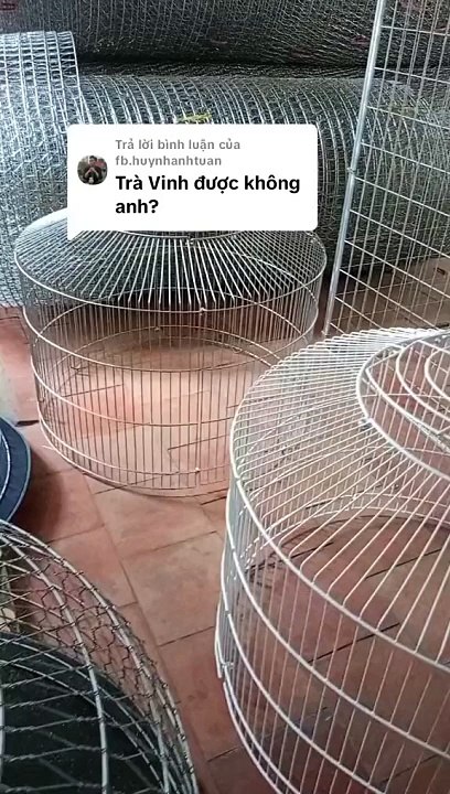 TÌM ĐẠI LÝ và NHÀ PHÂN PHỐI SỈ BỘI GÀ TOÀN QUỐC:  Call/Zalo: 0785 568 858.