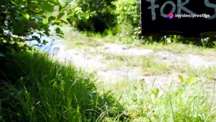 invideo-ai-480 Why Prestige Pine Forest_ Top Reasons to 2024-06-18