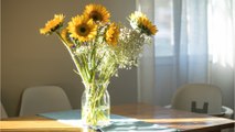 Schnitt-Sonnenblumen: Stiel kurz in heißes Wasser tauchen
