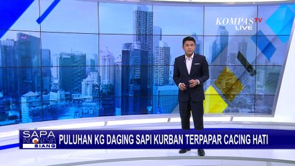 Puluhan Kilogram Daging Sapi Kurban di Banyumas Terpapar Cacing Hati