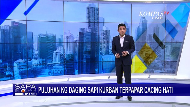 Puluhan Kilogram Daging Sapi Kurban di Banyumas Terpapar Cacing Hati