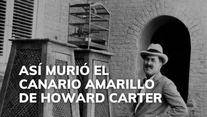 Así murió el canario amarillo de Howard Carter