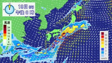 「モーニングショー」大雨中継中に交通事故発生で騒然　羽鳥慎一アナ「フロントガラス割れていますよ」
