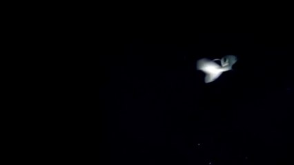 This HORRIFYING Deep Sea Creature Will HAUNT You