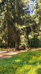 Seul escalade Gaillands Chamonix