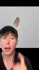 Pour cacher un trou dans le mur 