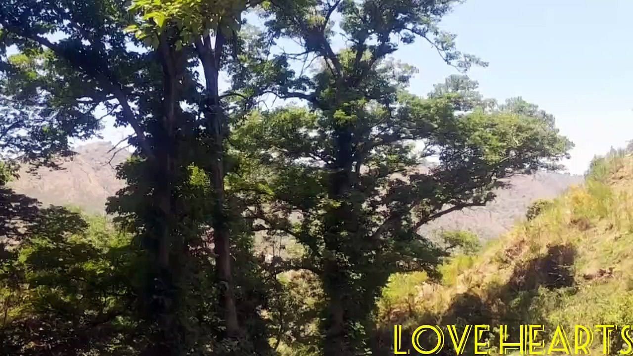 Tour to My village sharebai ###Must watch###