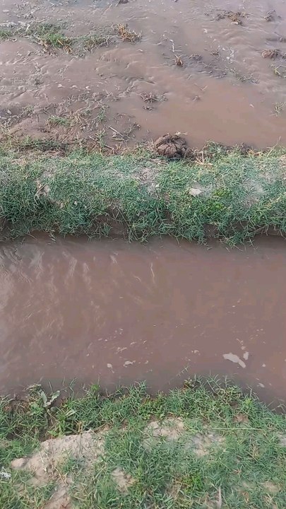 Water field
