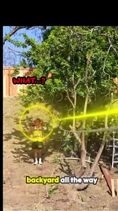 Building a Secret Gaming Tree House with Zipline
