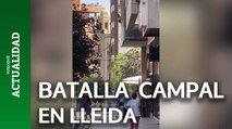 Batalla campal en el centro de Lleida