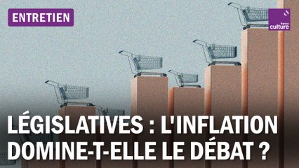 Inflation, pouvoir d’achat : le nerf de la guerre des législatives 2024 ?