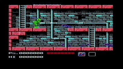 Test 32 : Teenage Mutant Hero Turtles (NES)