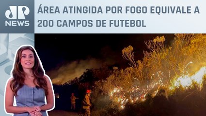 Incêndio no Parque Nacional do Itatiaia (RJ) é controlado; Patrícia Costa analisa