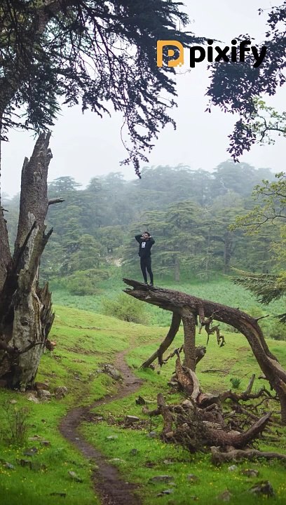 Creating Travel Memories with Pixify Reel Maker App