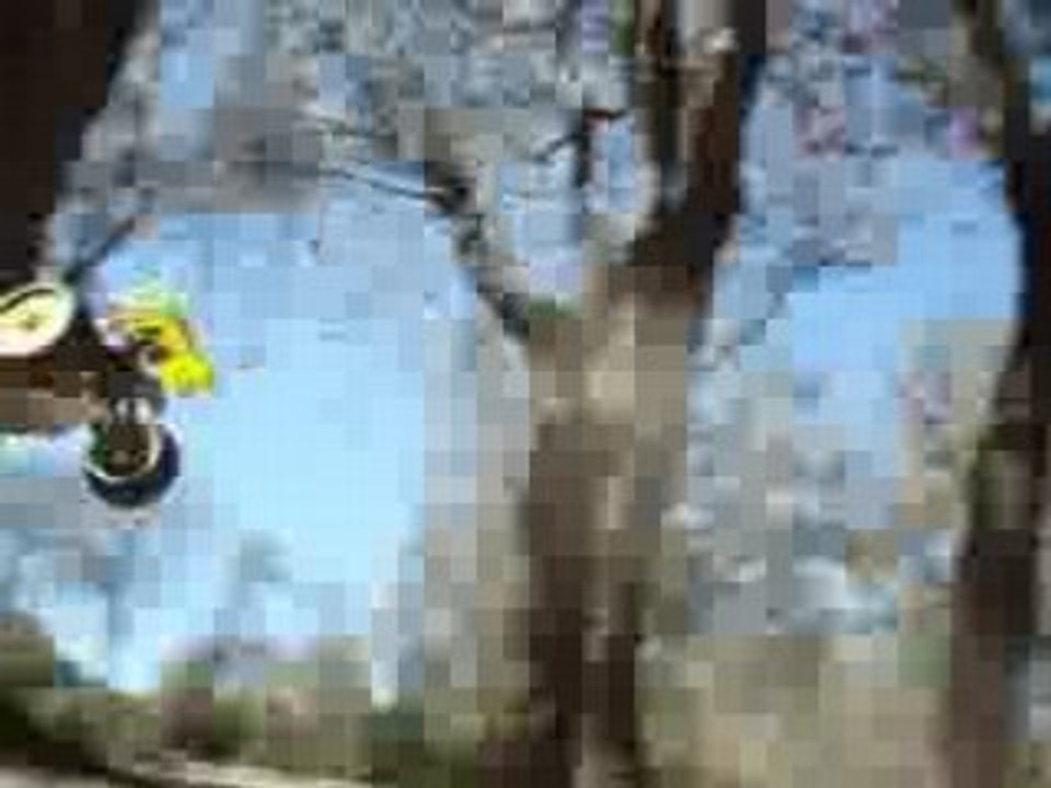 saut en buggy