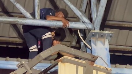 Teenager gets stuck on roof trying to get phone back from monkey who stole it