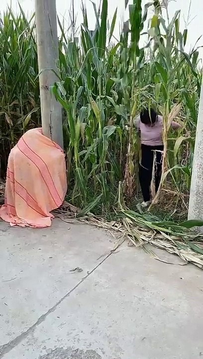 Best Funny New video_ New Comedy Video try not to laugh