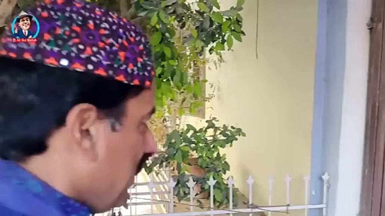 Ali gul funny