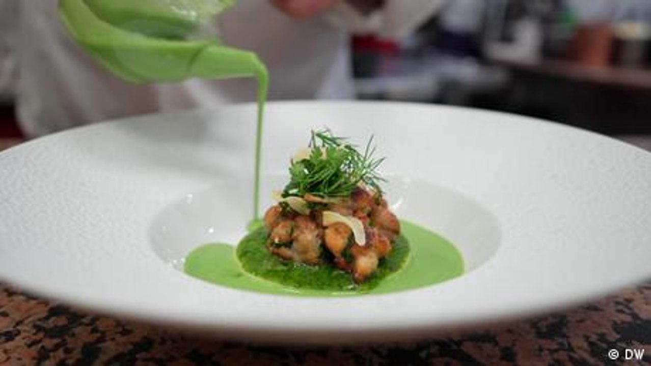 Froschschenkel – Delikatesse oder Tierquälerei?