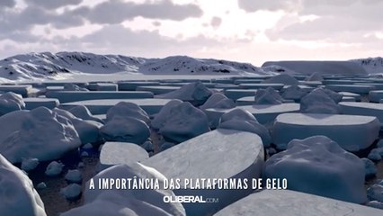 A importância das plataformas de gelo