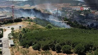 Tuzla'daki yangında korkulan oldu! Alevler ormanlık alana sıçradı