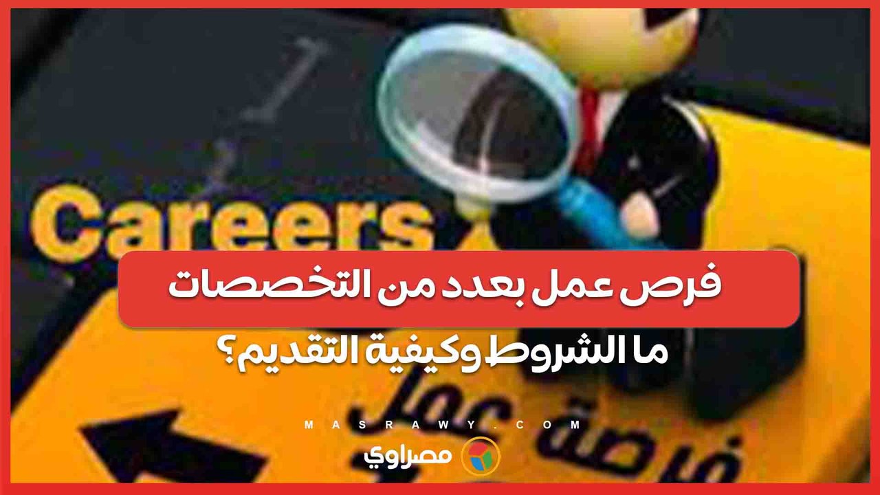 فرص عمل بعدد من التخصصات ... ما الشروط وكيفية التقديم؟