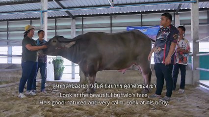 ทีเซอร์2 เจ้าเพชรนารายณ์ ลูกเจ้าขุนศึก / Teaser2 of Chao Phet Narai, Luk Chao Khun Suek