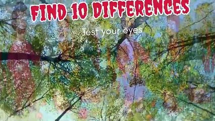 find the difference | visual puzzle challenge |