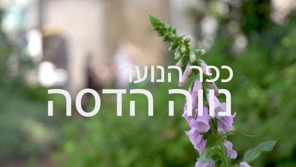 כפר הנוער נווה הדסה