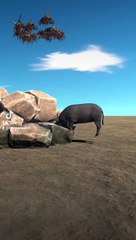 Swarm Bugs vs Buffalo