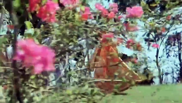 Mere Dil Ne Tujhe /Shiv Shakti 1988/ Kavita Krishnamurthy , Suresh Wadkar, Govinda, Kimi Katkar