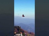 Paraglider Pilot Cheers as Red Tail Hawk Flies Too Close to Them