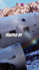 Incredible Survival Stories: Miraculous Plane Crash Survivors Who Defied the Odds