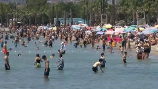 Büyükçekmece ve Menekşe Plajı'nda bayram yoğunluğu