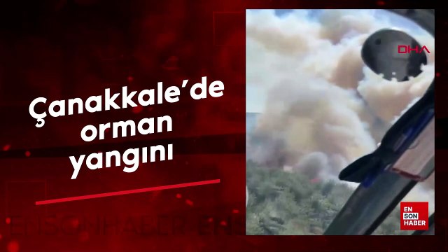 Çanakkale Eceabat ilçesinde orman yangını