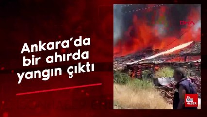 Ankara'da bir ahırda yangın çıktı