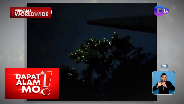 Libo-libong fireflies, bida sa river cruise sa Sorsogon | Dapat Alam Mo!