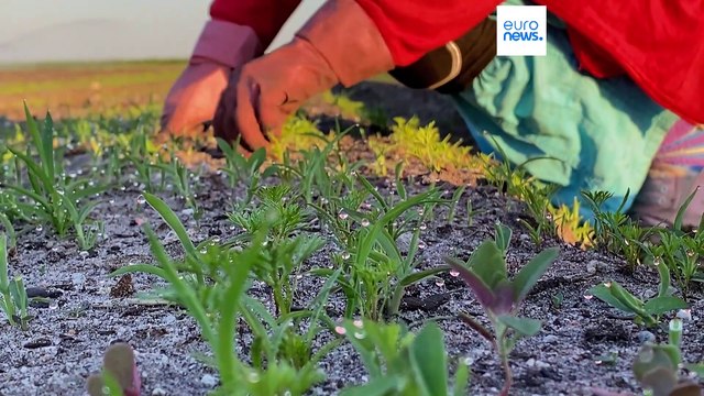 Ylva Johansson: L'impunità è finita per i trafficanti di esseri umani nell'Ue