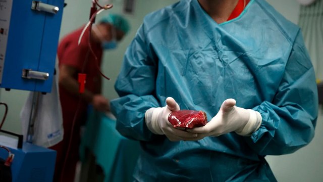 Estas enfermedades silenciosas son las que dañan el hígado sin un tratamiento efectivo que las frene