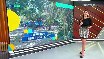 Aplican multa millonaria por la tala de árboles en terrenos colindantes al Jardín Botánico