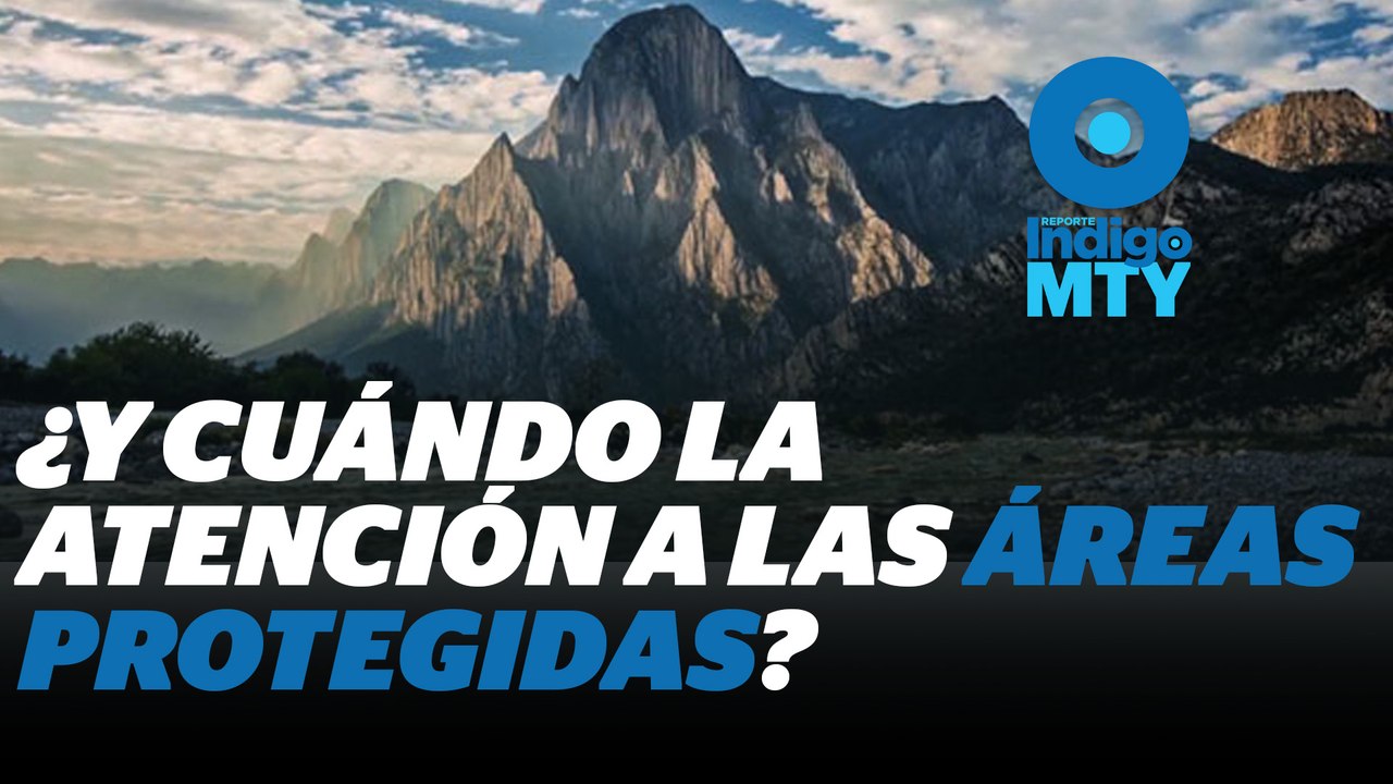 Los nuevos gobiernos no deben perder de vista las Áreas Naturales Protegidas | Reporte Indigo